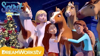 Joy to the World (Christmas Music Video) | SPIRIT RIDING FREE