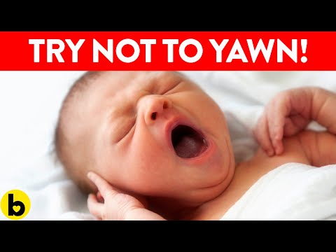 Why Is Yawning So Contagious?