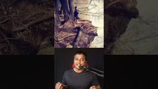 Download lagu A illusion photo is going viral on the internet mp3