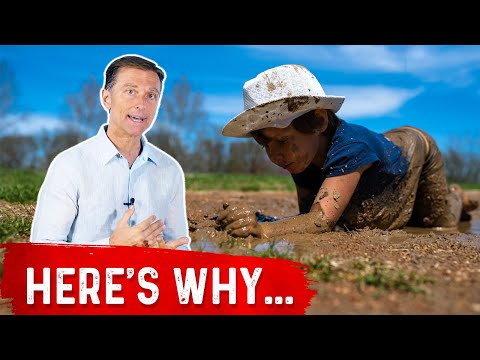 Kids Eat 67 Percent Ultra Processed Food