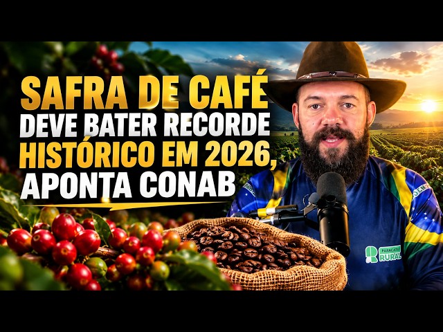 Safra de café deve bater recorde histórico em 2026, aponta Conab.