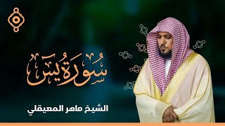 Download lagu Surat Yasin Maher Al Muaiqly | سورة يس - الشيخ ماهر المعيقلي mp3 Download lagu Surat Yasin Maher Al Muaiqly | سورة يس - الشيخ ماهر المعيقلي mp3