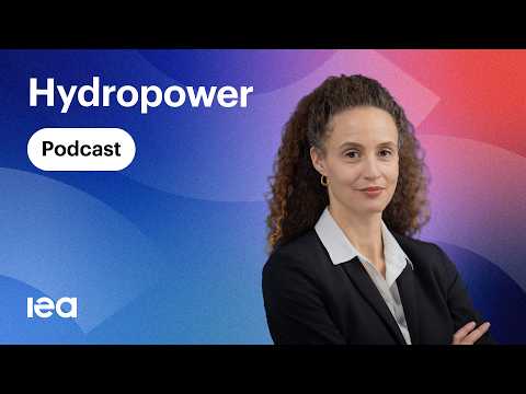 IEA - Everything Energy: Цахилгааны мартагдсан асар том хүч