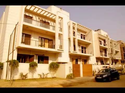 Wishfield The Carmine Project Tour 1