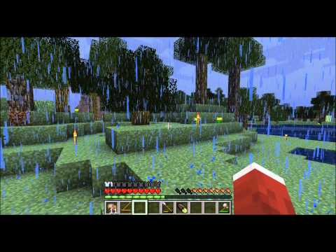 TerraFirmaCraft - #2 - Flint Knapping