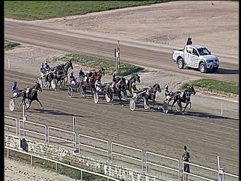 Trotto 22/10/2019 - 2ª corsa