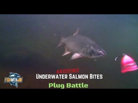 Awesome Underwater Salmon Strikes (Plug Bites)
