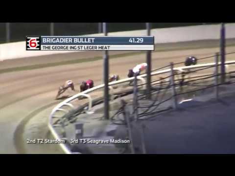 2019 GEORGE ING ST LEGER - HEAT 5 - T6 BRIGADIER BULLET