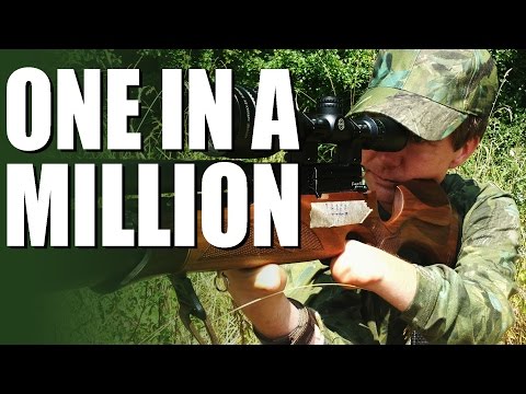 One in a Million: Incredible Airgun Skills One in a Million: Incredible Airgun Skills