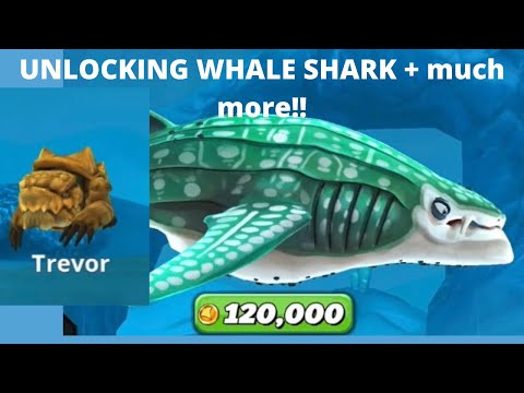 Unlocking *NEW* XXL sharks!! // The amazing whale shark// TURTLE PET