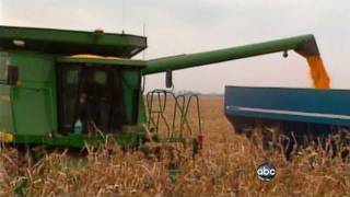 Taxpayers Foot Farm Subsidies for Rich