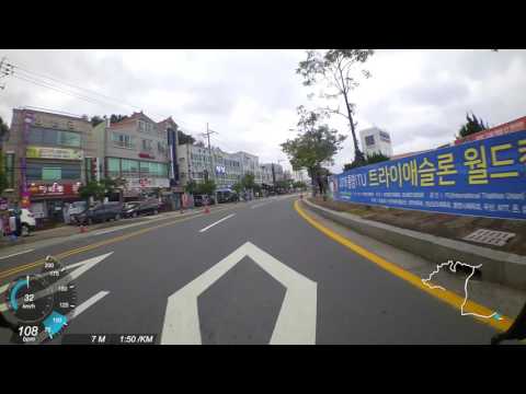 2016 Tongyeong ITU Triathlon World Cup