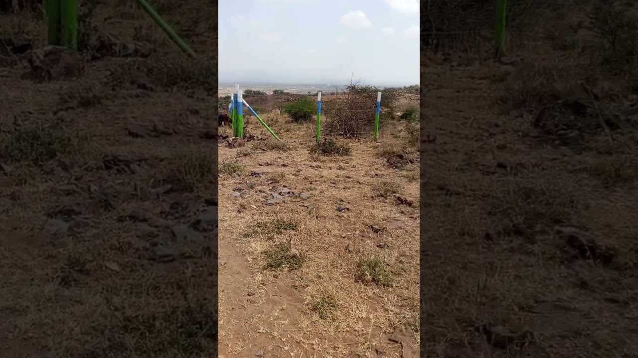 5ac land sale in Ndeiya Nguirubi for plot subdivision video thumbnail