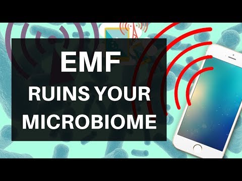 EMF Ruins Your Microbiome: Wifi, Cellphones & Your Bacteria