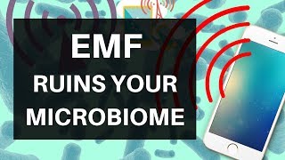 EMF Ruins Your Microbiome: Wifi, Cellphones &amp; Your Bacteria