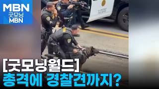 [굿모닝월드] 총격에 경찰견까지…무슨 일? [굿모닝 MBN]
