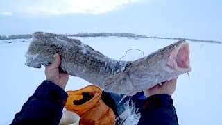 Главная страница рыбалка на севере