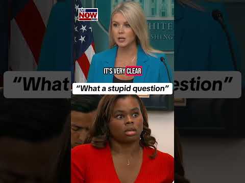 “What a stupid question” on force used against protesters says White House Karoline Leavitt