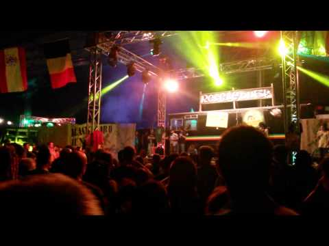 Jah Tubbys @ ReggaeBus Festival 2015