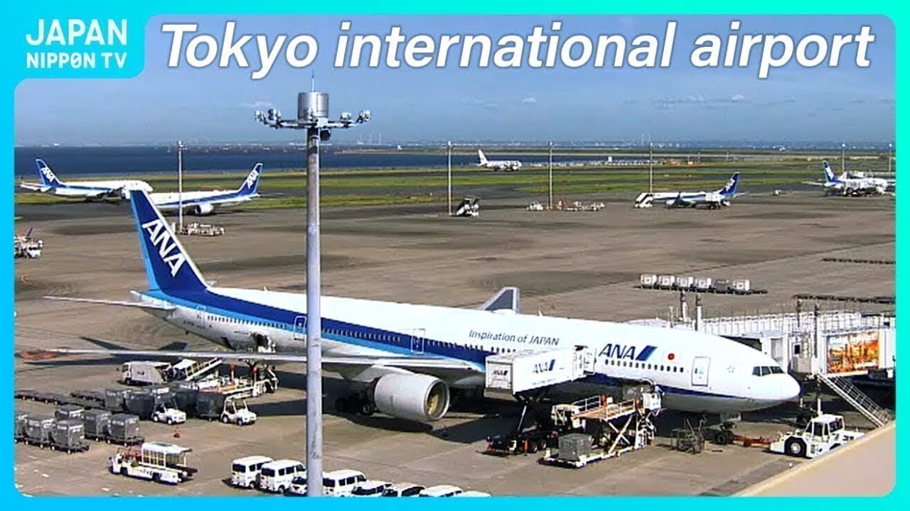 Live webcam view of Haneda Airport Live Cam