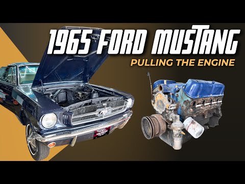 Thumbnail for PULLING THE ENGINE ON MY 1965 FORD MUSTANG | ENGINE REBUILD! by Ford Mustang, Van