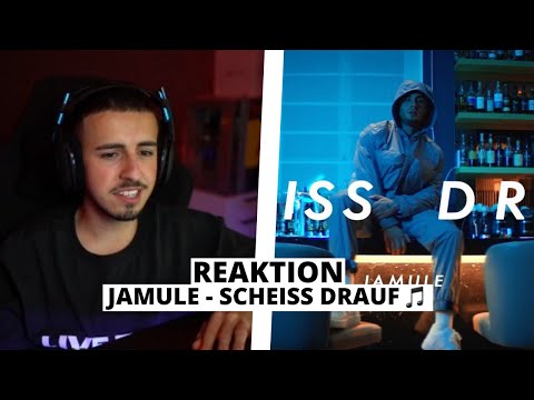 Rayzor reagiert auf JAMULE - SCHEISS DRAUF | Stream Highlights ⚡