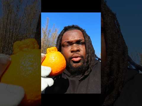 How Oranges Became Orange 🍊