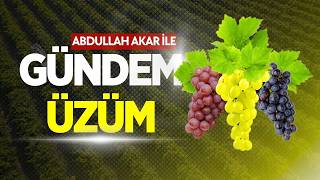 Gündem Üzüm- ÜZÜMDE FİYAT VE GELECEK TARTIŞILIYOR