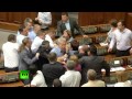 Kiev Rada punch-up (episode 300+): Far-right vs ...