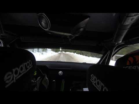 2019 WRC Sweden - Yigit Timur & Maxime Vilmot - SS5 Part 1