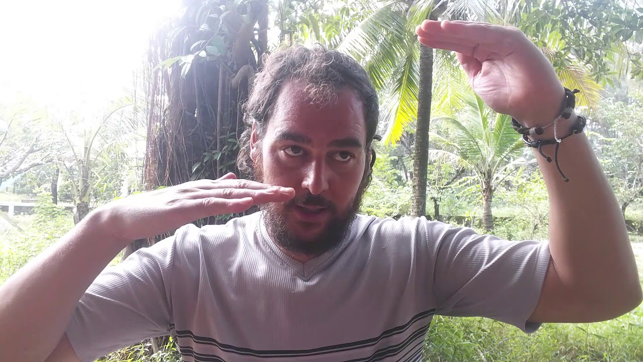 David Moreno Llanes-2