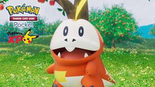 【公式】『ポケポケ』新シリーズ予告映像 2026