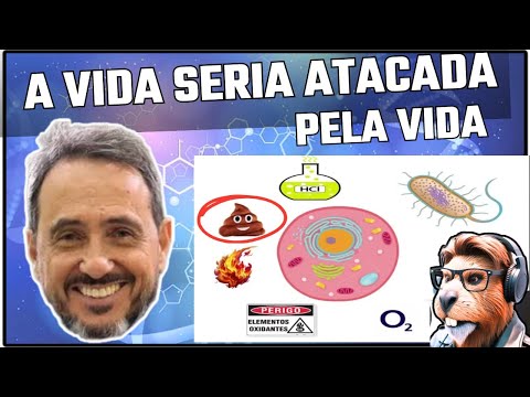 Eberlin and the ORIGIN OF LIFE!! (DEBATE: Antonio Miranda, Eberlin, Hercules and Jaquetinha)