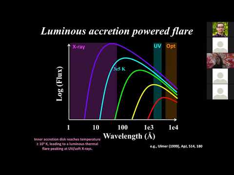 Understanding the multi-wavelength properties of bright and nearby TDEs | Katie Auchettl