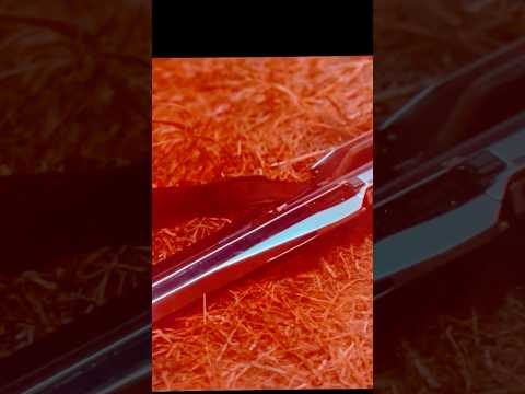 Stuck in a hard place #65movie #dinosaur #trex #adamdriver #65millionyears #earth #monsters #dino