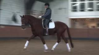 2 produits de Don Juan de Hus au départ du Championnat du Monde des 6 ans