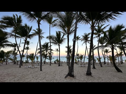 Videos del Riu Palace Bavaro 5★ en Punta Cana, República DominicanaVerPrecios21CerrarConsulta por Whatsapp 🇦🇷BookingTripadvisorExpediaAgodaTravelocityOrbitzPricelineTripSkyscannerDespegarKayakHotelesBestdayDestiniaTrivagoTurismocityAlmundoLastminuteHotwireTuiWotif