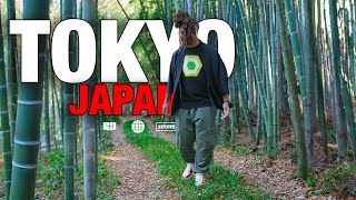 SOLO TRIP TO TOKYO VLOG | JAPAN in 2023 | 🇯🇵 LOST my bag!!