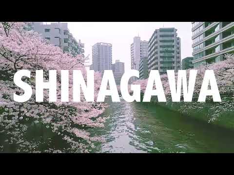 welcome shinagawa （shinagawonder 30sec）