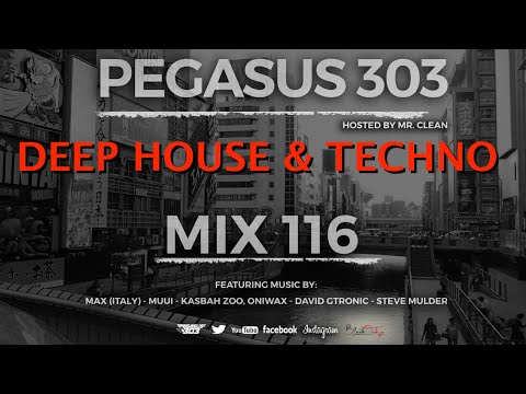Deep House & Techno Pegasus 303 Mix 116