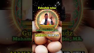 Download lagu Filosofi telur Ceramah Bugis Gurutta ustadz Muhammad Yusuf, S.Sos.I. #ceramahbugisustmuhammadyusuf mp3