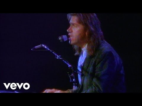Heart Hotels by Dan Fogelberg