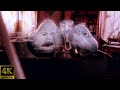 Casper 1995 Original Theatrical Trailer 4K FTD 0569