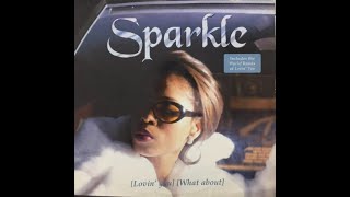 Sparkle - Lovin&#39;you （The Remix）