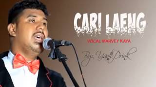 Download lagu CARI LAENG VOCAL MARVEY KAYA mp3