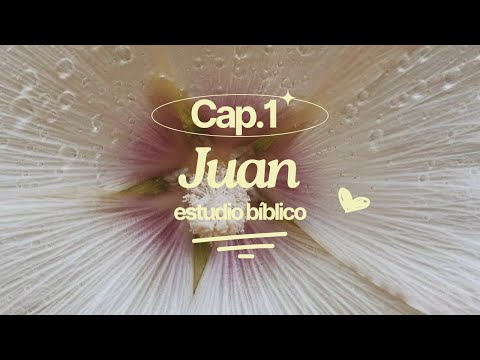 John Chapter 1 - Bible Study