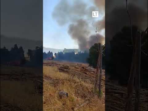 Declaran alerta roja en Purén por incendio forestal que amenaza a viviendas del sector