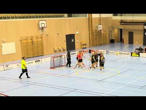 Damer Div.2 Skåne Åstorp/Kvidinge IBS - Lönsboda IBK 4-3 