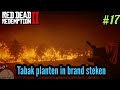 Tabak planten in de brand steken! - Red dead Redemption #17