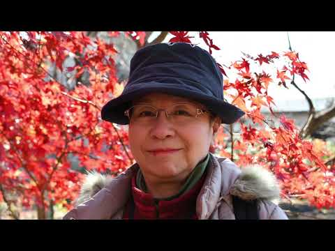 秋冬の温室の使い方